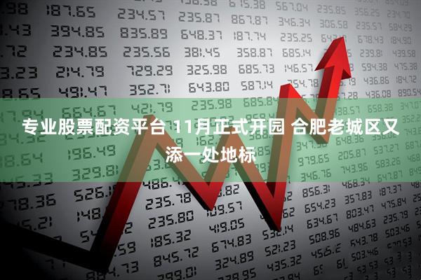 专业股票配资平台 11月正式开园 合肥老城区又添一处地标