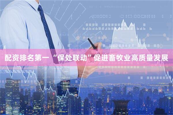 配资排名第一 “保处联动”促进畜牧业高质量发展